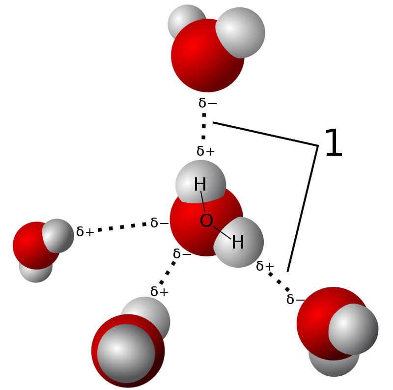 liên kết hydro